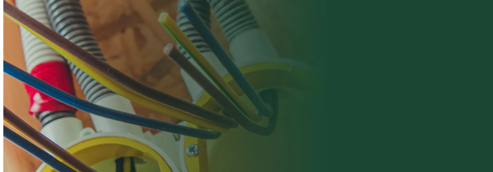 home image background